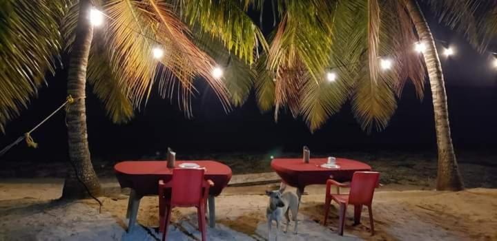 Casa Rural El Paraiso De Saona Mano Juan Екстериор снимка